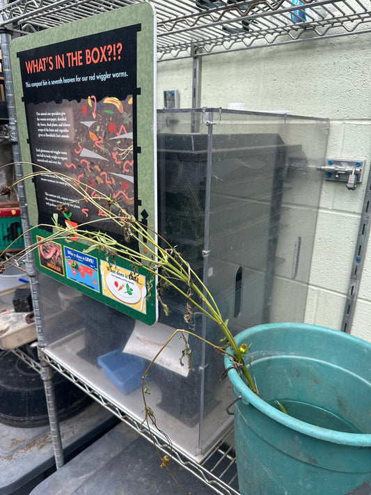 Custom Polycarbonate Lexan / Macrolon Enclosures For Labs Science And Displays