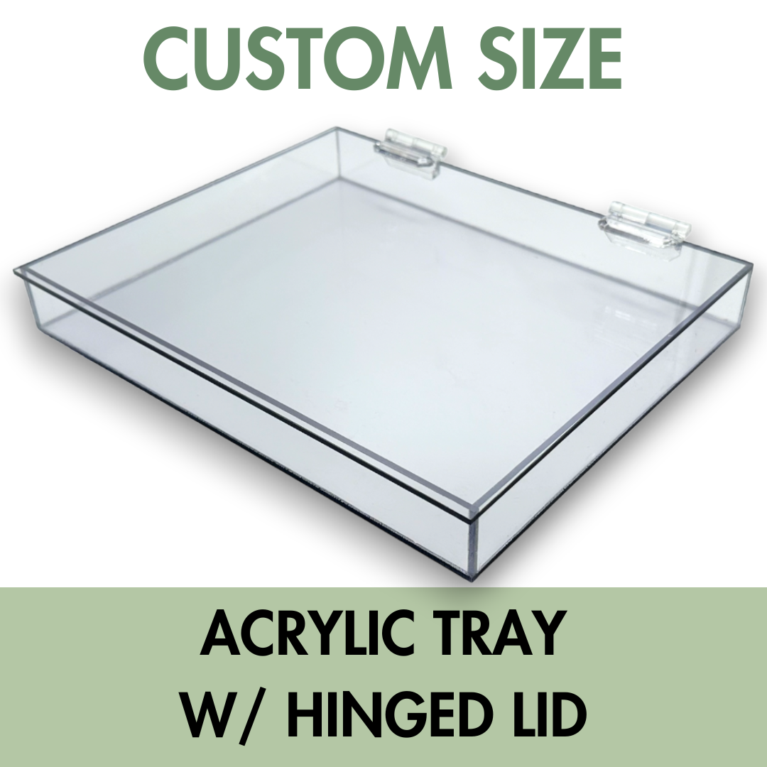Large Terestrial Acrylic Container(8 x 4 x 4) Comes with thumbscrews to  secure the lid.