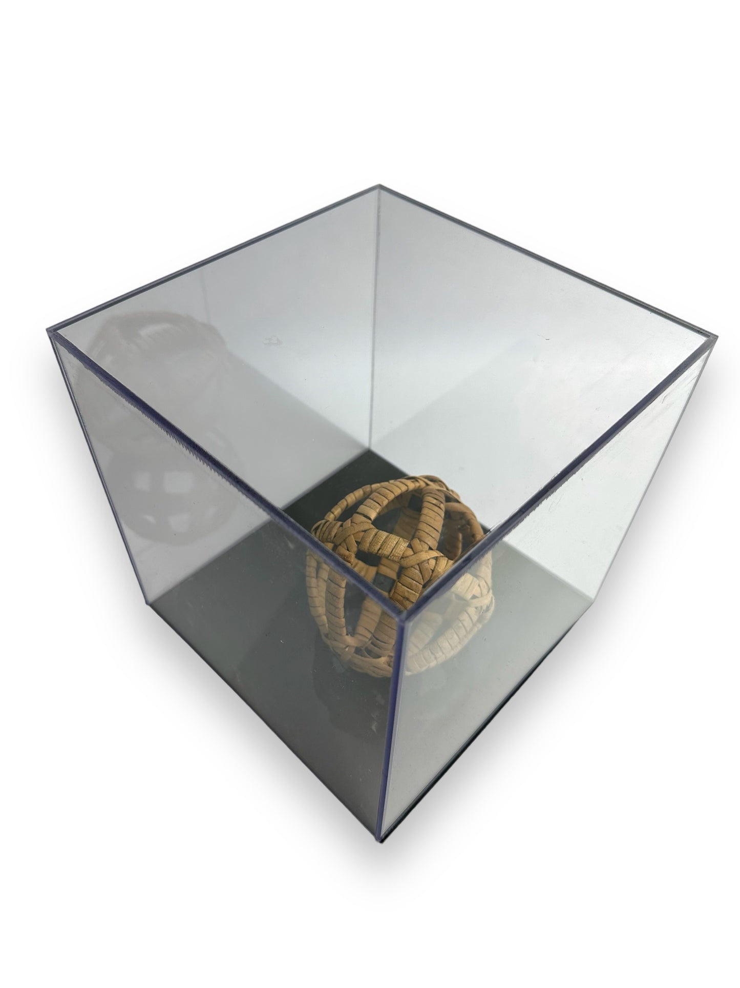 Clear plexiglass case with removable black base