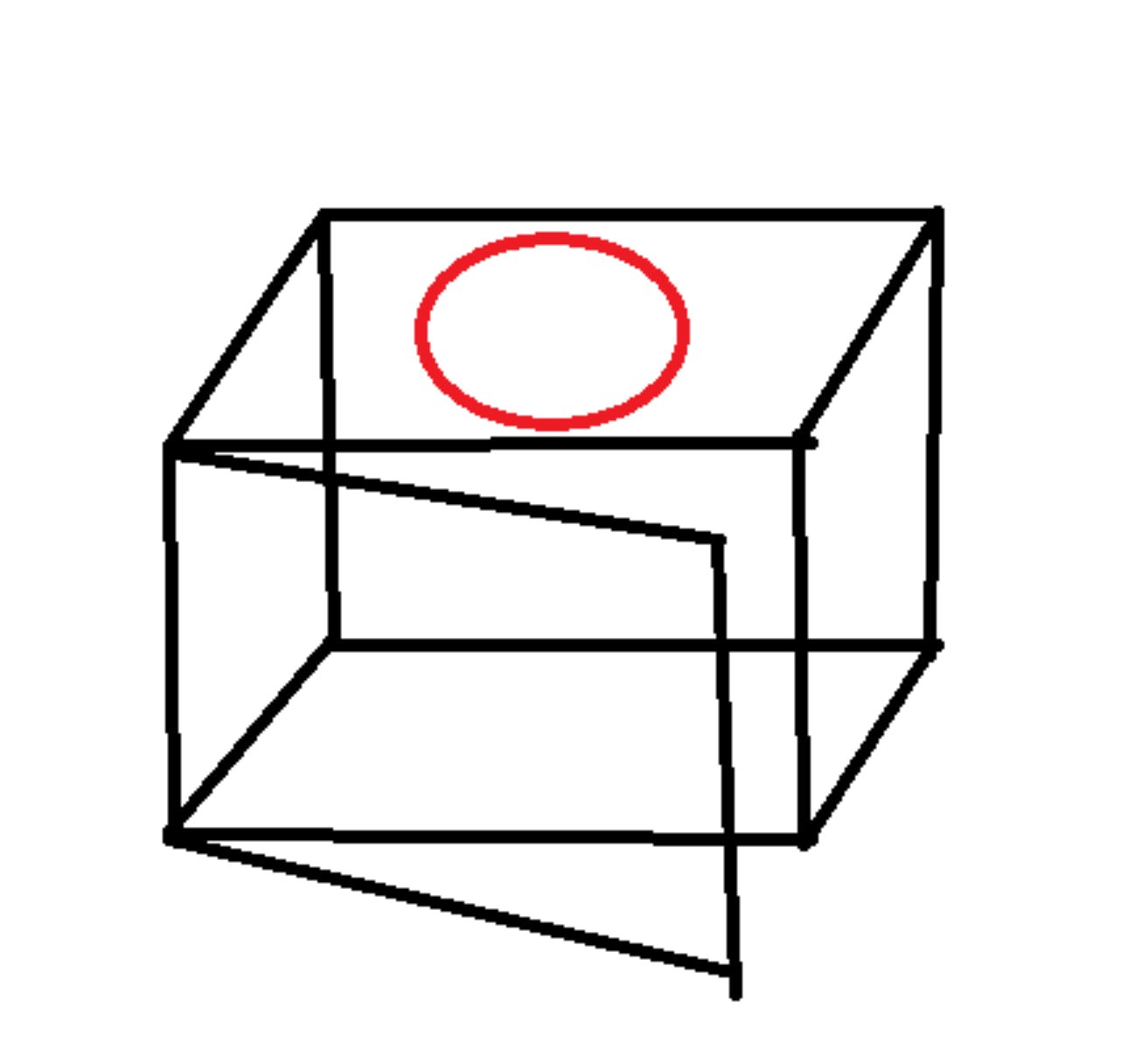 Custom Made Clear Acrylic Box With Hinged Side Door