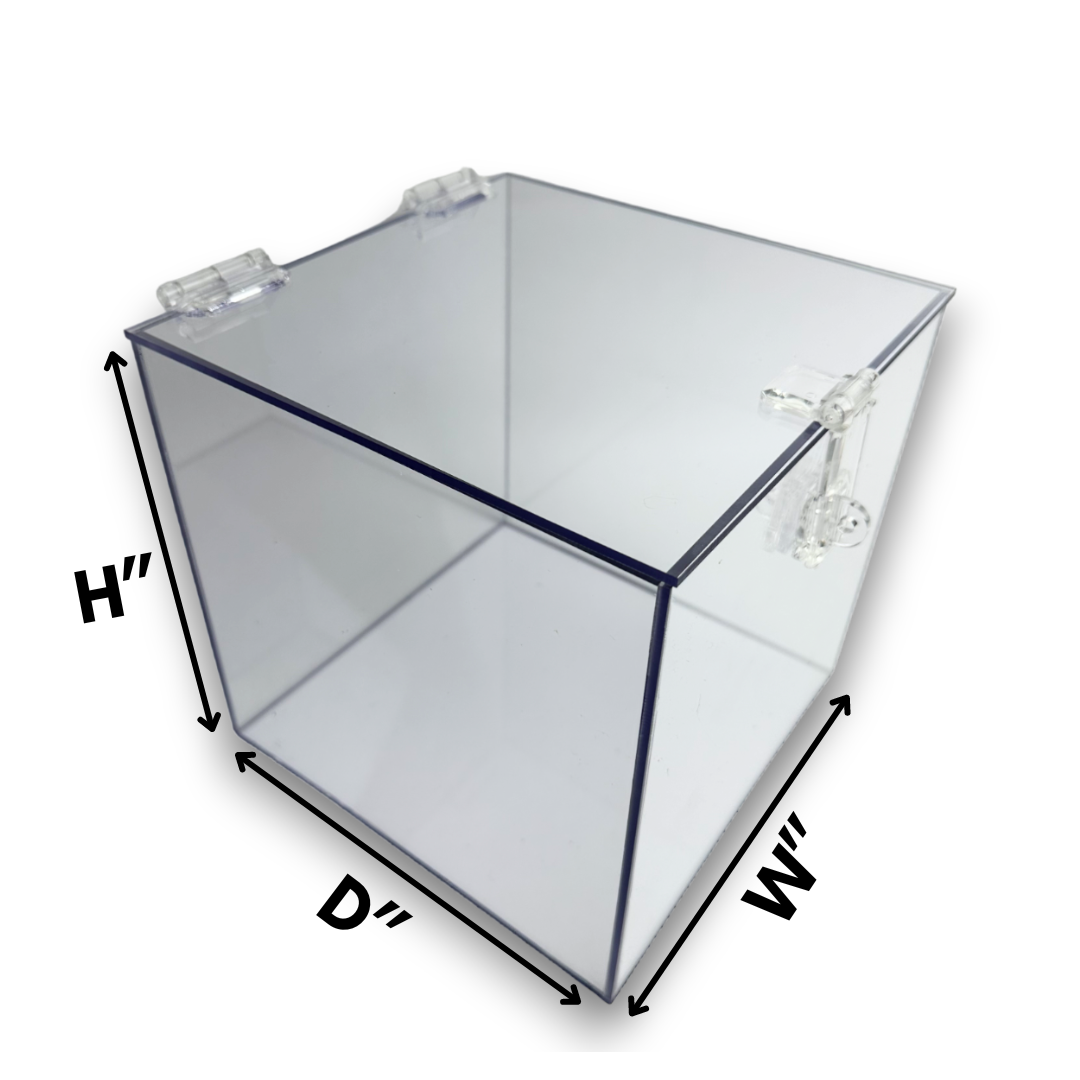 Clear Acrylic Box with Hasp Lock Hinged Lid - Custom Size