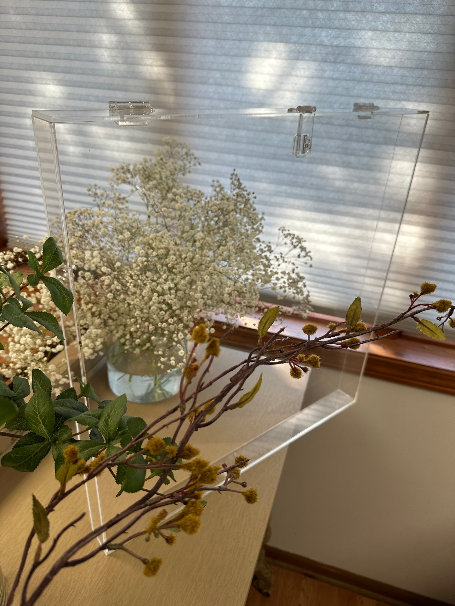 Custom made acrylic display case with hasp