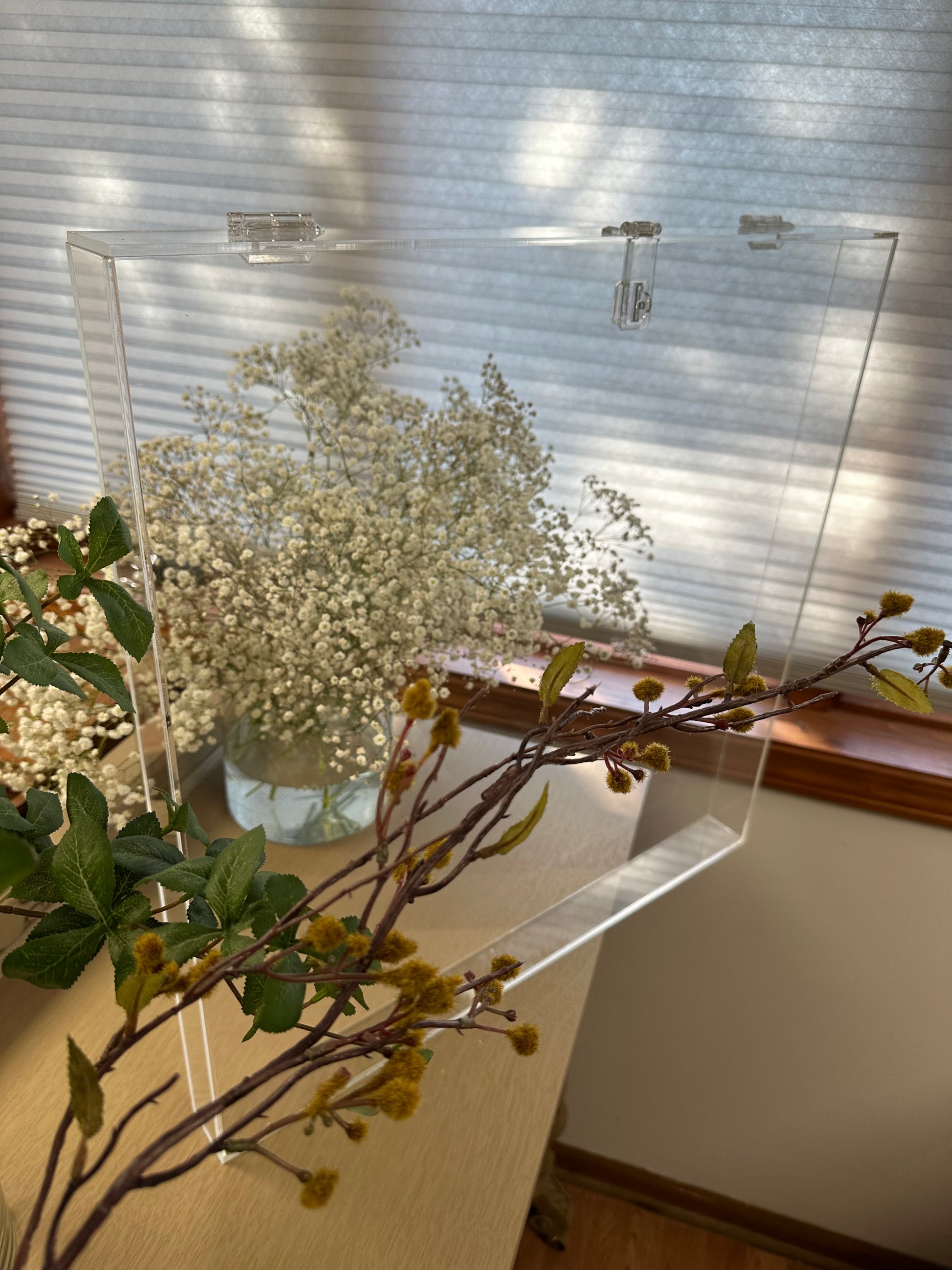 Custom made acrylic display case with hasp