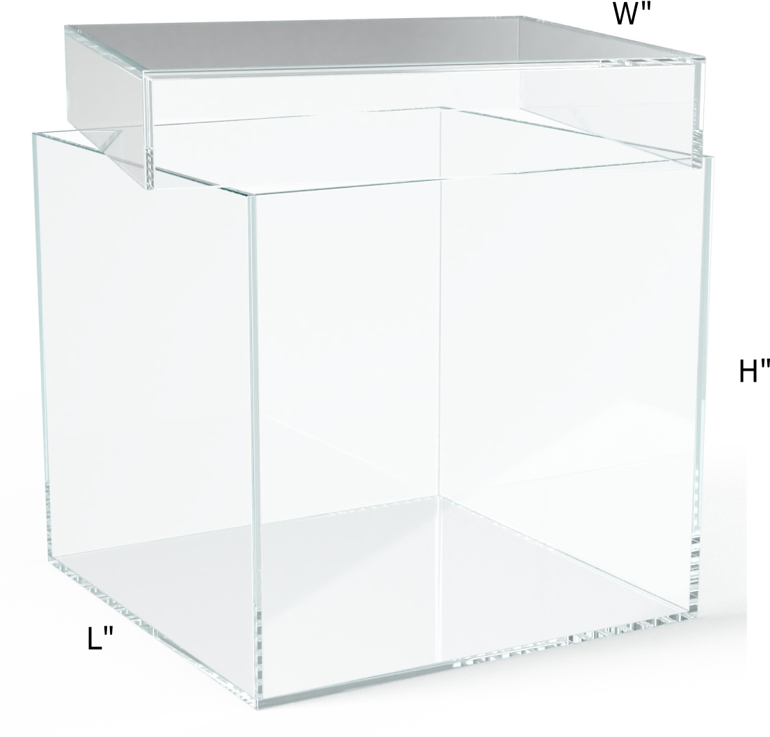 custom made acrylic box with shoe lid