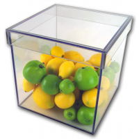 (5) Clear Acrylic Boxes With Shoe Lid Top