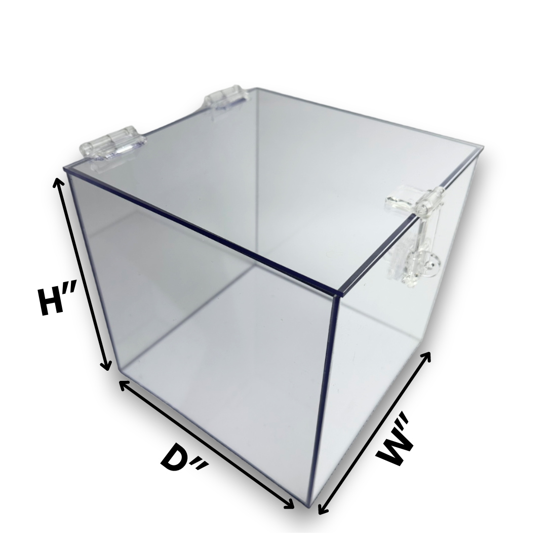 Acrylic 5-Sided Box with Hasp Lock Lid