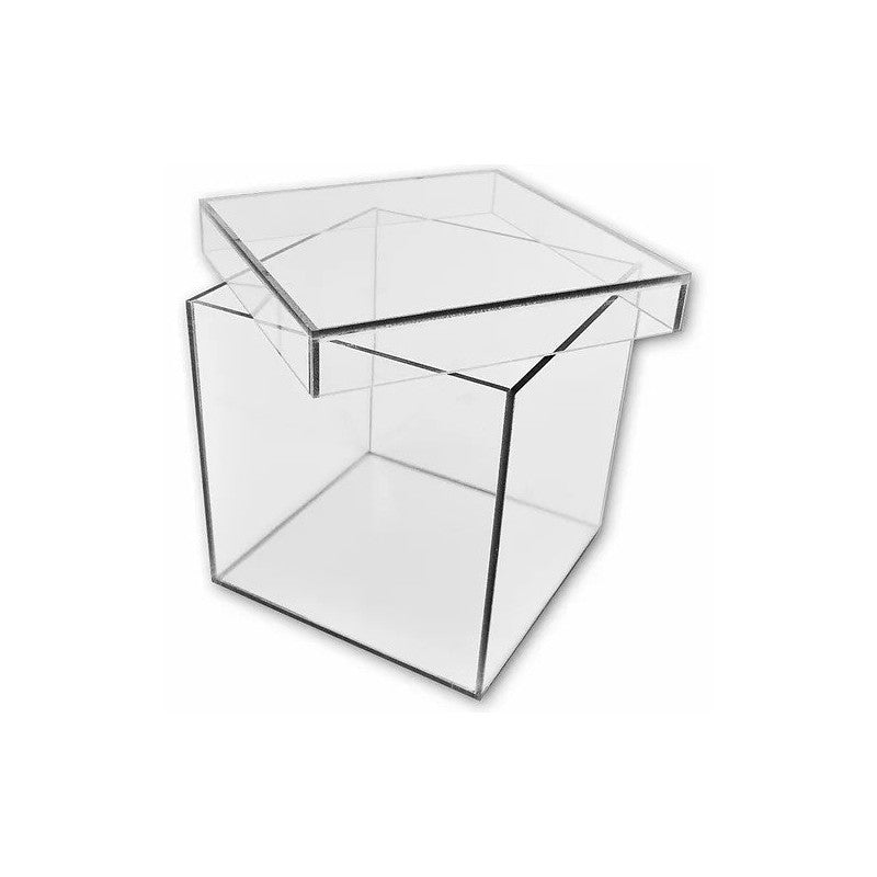Custom Made watertight clear acrylic box with a shoe box lid.